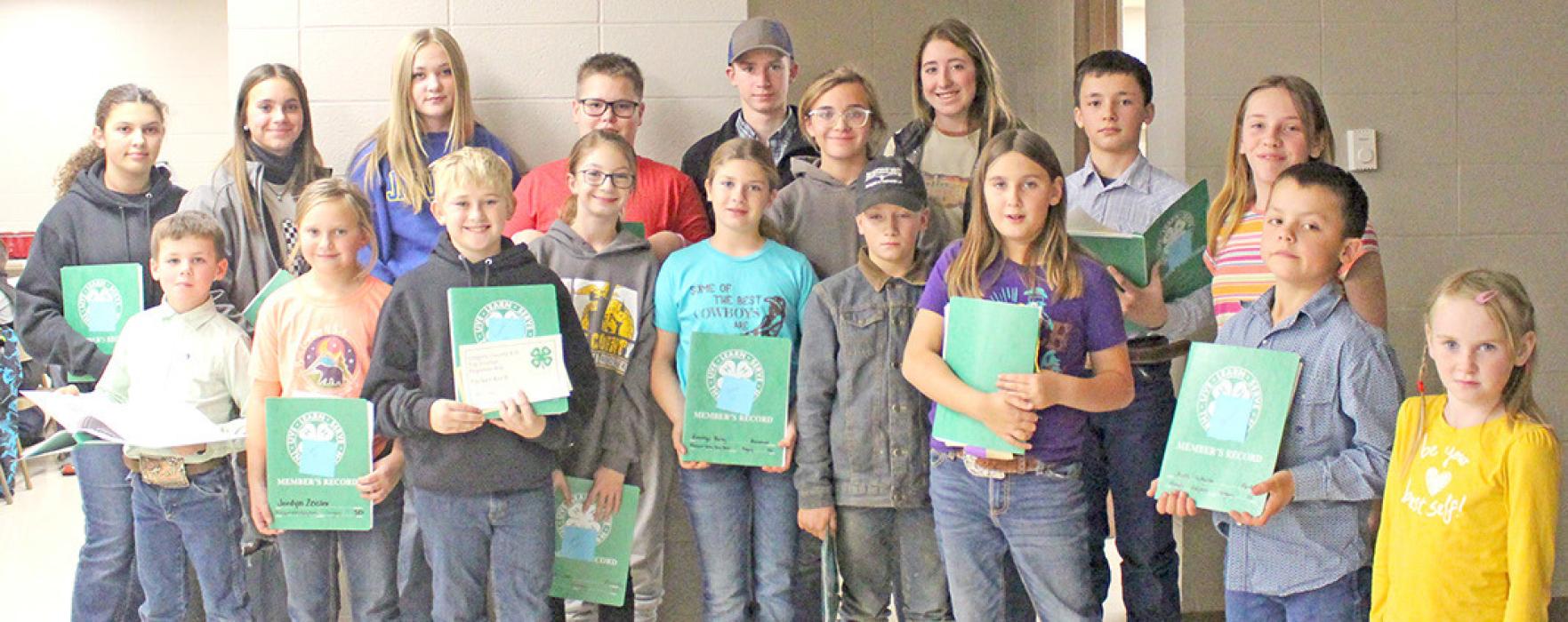 4-H youth who submitted journals.