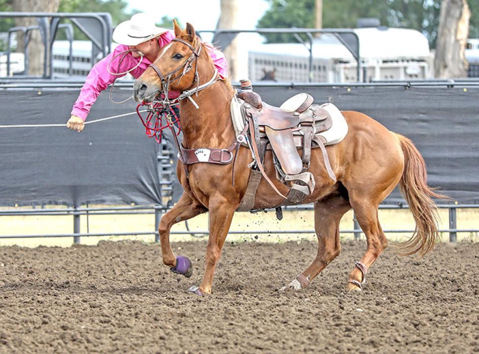 Stetson Shelbourn (Photo by Roper Moore.)