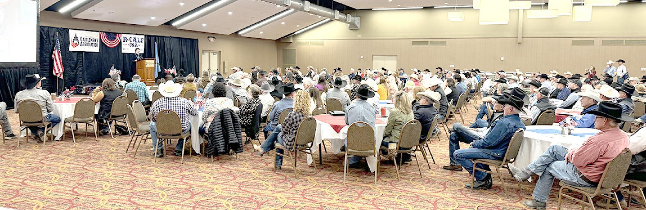 On October 7, 2024, beef producers and interested parties from nine states gathered in Rapid City, SD, for the R-CALF Freedom Rally. Attendees listen as Harriet Hageman, Rep-WY (R) stands under the R-CALF and USCA banners to explain the impact the new EID rules will have on the cattle industry starting November 4, 2024. As of this printing, there are no South Dakota signatories on the House or Senate Resolutions of Disapproval of the EID Mandate. (Photo by Brett Kenzy)