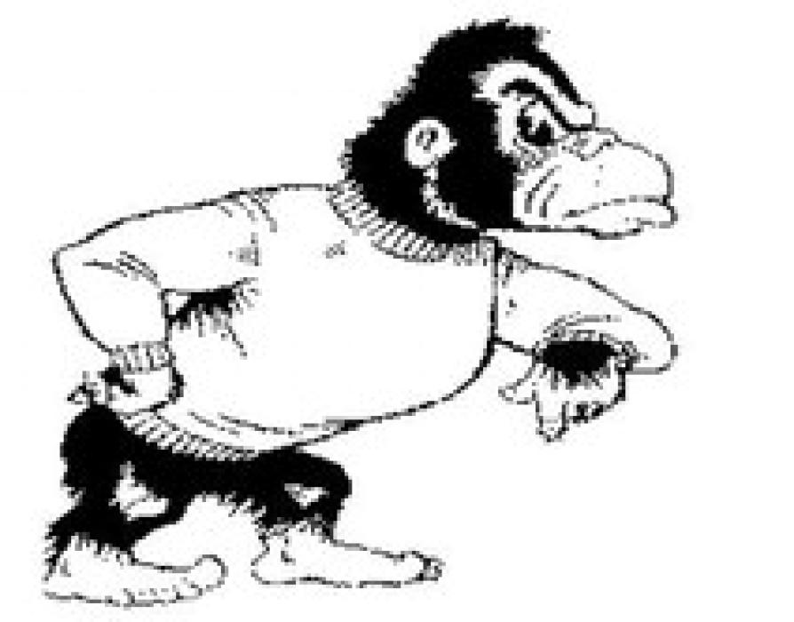 Alt Text for Image