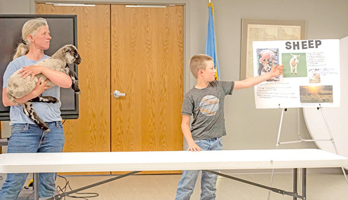 A purple ribbon was awarded to Tristan Zeisler for his presentation on sheep.