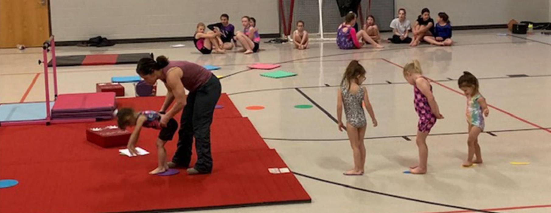Gymnasts show their talents on Sunday in Gregory