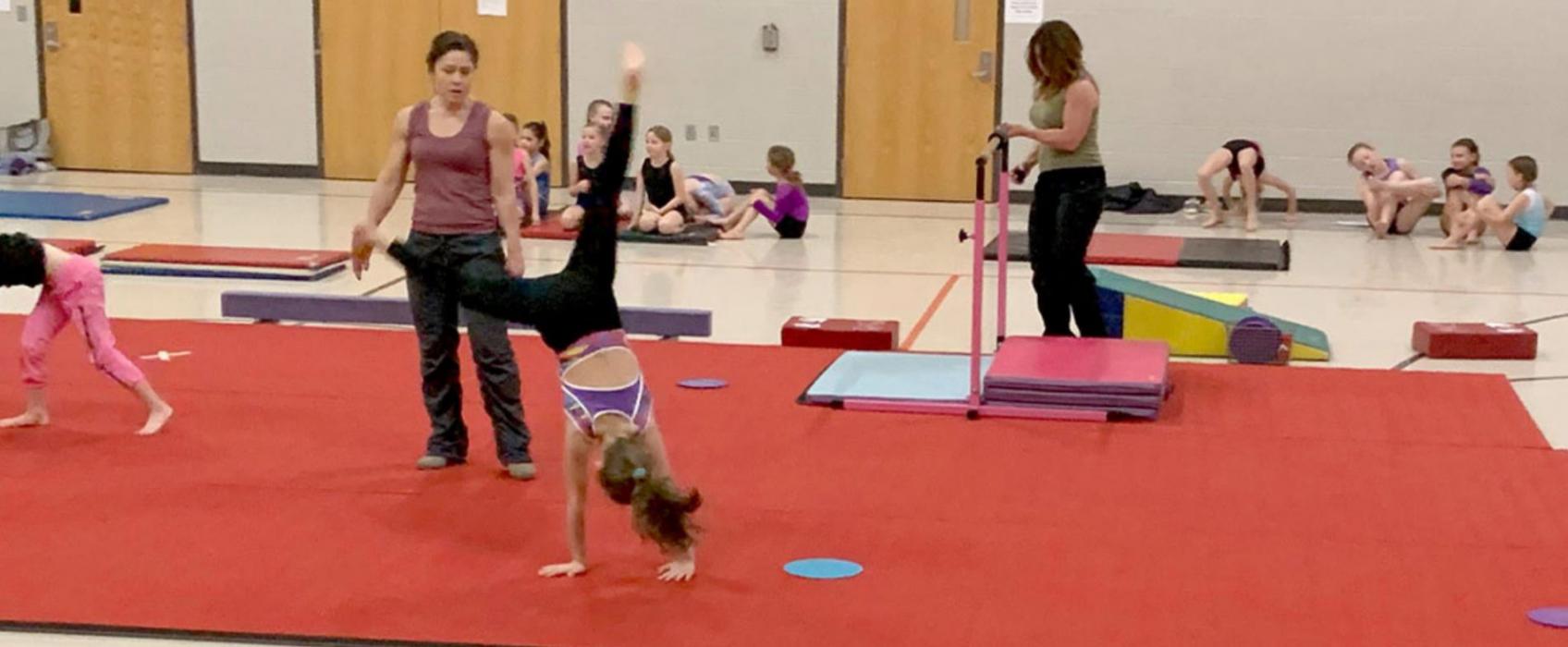 Gymnasts show their talents on Sunday in Gregory