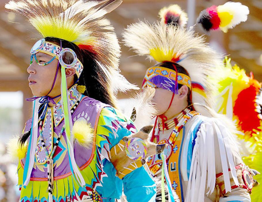 The dancers wore beautiful, brightly colored costumes.