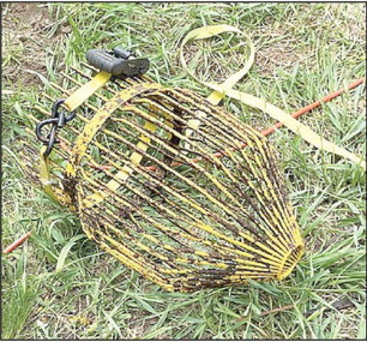 The intake system was breached by a bullhead that appeared to have been living inside it for some time.