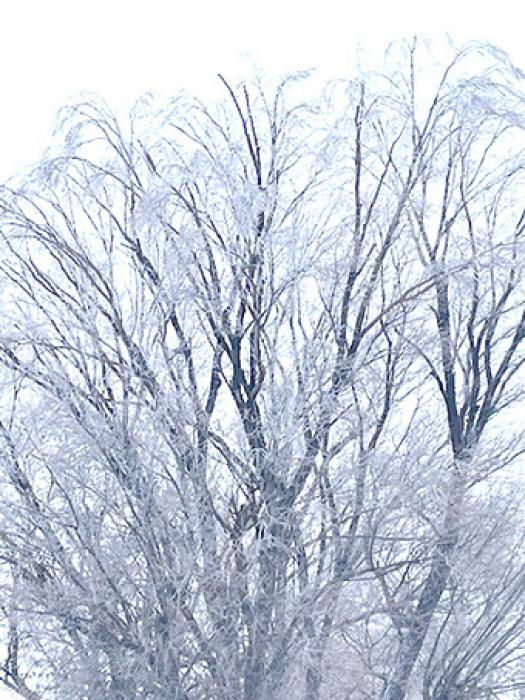 First snow storm of the season