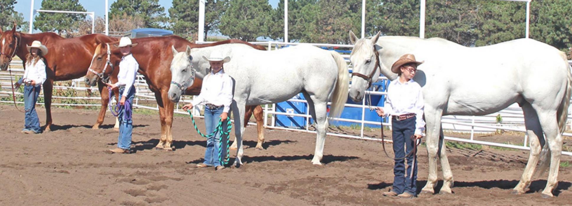 Beginner Western Showmanship: pictured from left to right: Brooklyn Bailey, Emily Diekmann, Lauryn Diekmann, and Shyanna Williams.