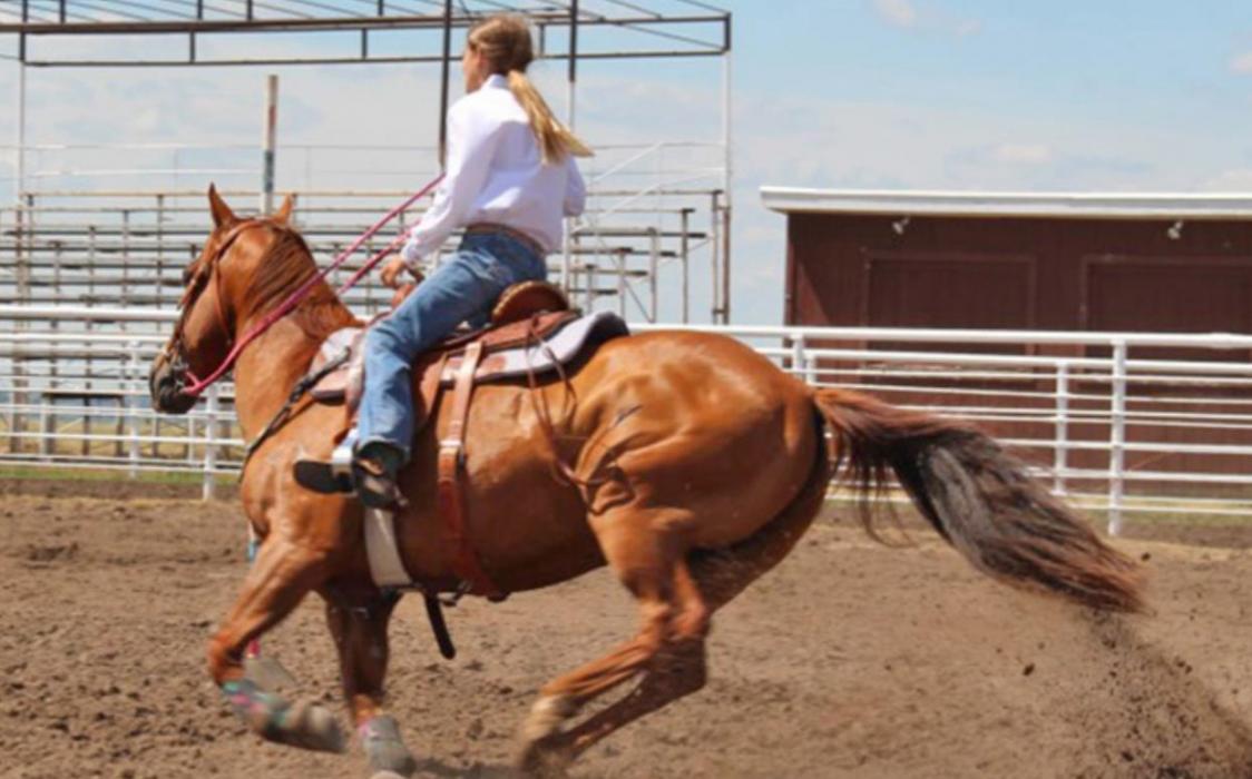 All Around Jr Girl, Brecken Vosika, completing the pole bending pattern.