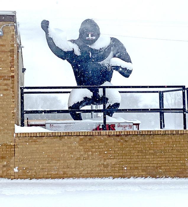 Tuesdays short lived blizzard turned the Gregory Gorilla into a formidable snowman. The blizzard was over hyped and under performed.
