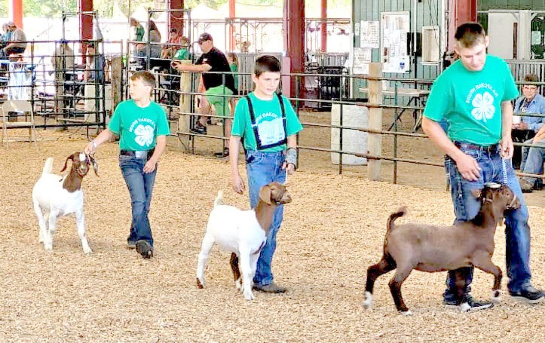 Gregory Co. 4-Hers perform well at State Fair