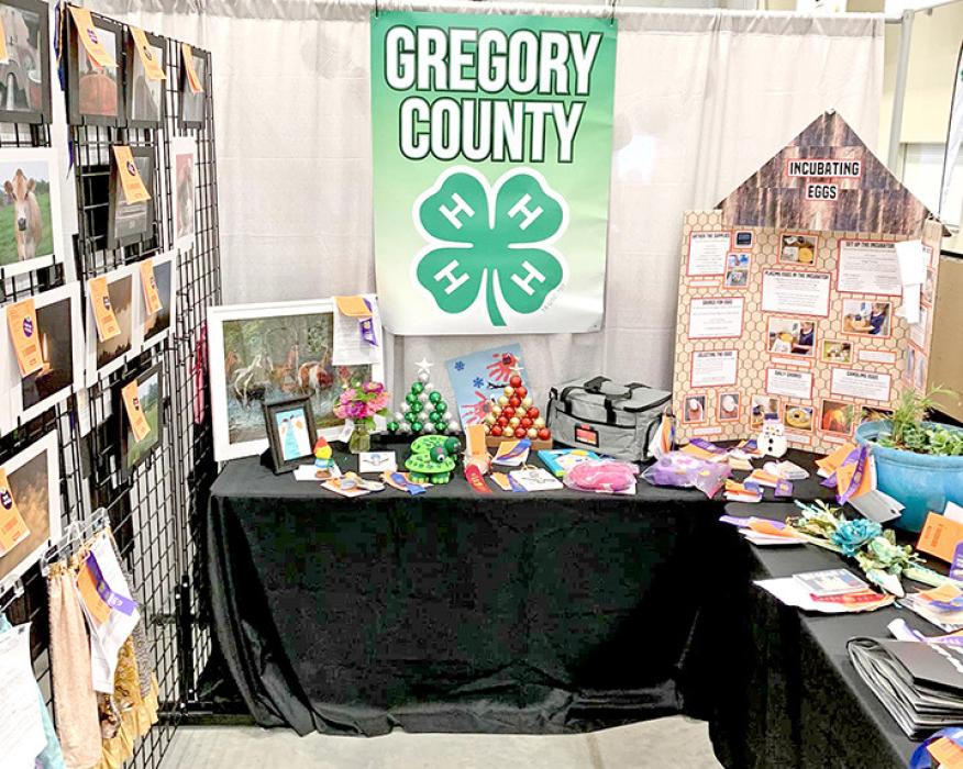 Gregory Co. 4-Hers perform well at State Fair