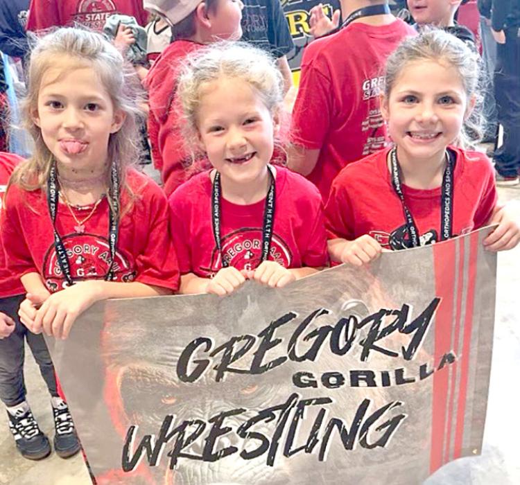 Eli Ekroth brings home first place from State AAU Wrestling Tourney, 11 others medal