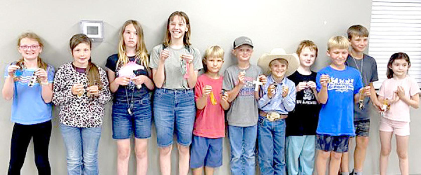 On July 15th, Gregory County 4-H put on a Leather Making workshop led by Kendra Wiechmann. Youth picked out multiple pieces of leather with different designs, patterns, and materials. Youth then made keychains, earrings, and necklaces using leather along with different accessories to add onto their creations.