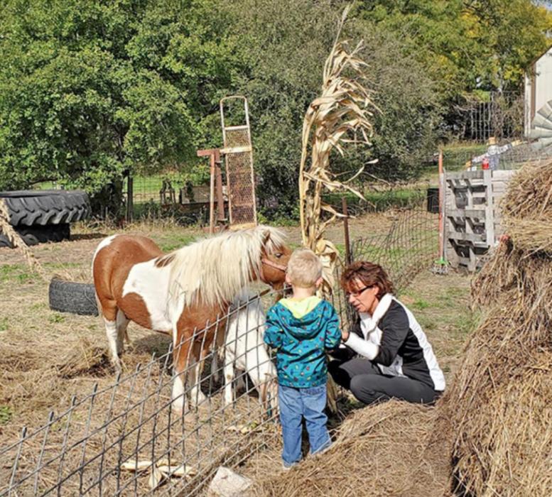 The Farm Festival has something for everyone