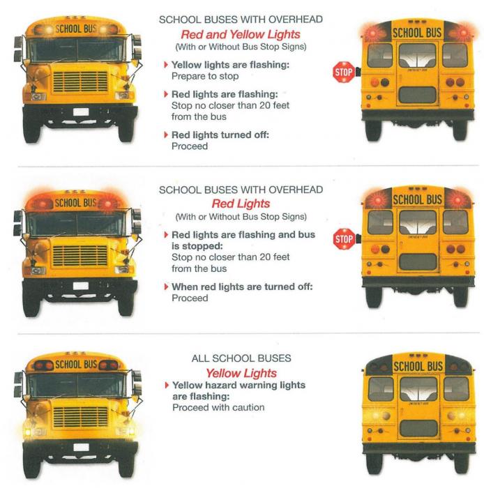 Know what to do when approaching a school bus with flashing lights