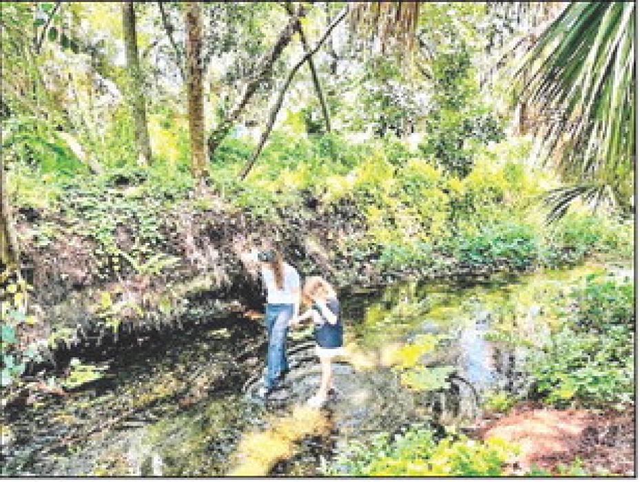 In 2023, Justine Wilson launched her Curious and Kind Education forest-based microschool in Sarasota, Fla. Enrollment there, much like the rest of the microschool sector, has seen a boom, and operators such as Wilson believe state laws are a key to the future growth of alternative school settings like hers. (Photo courtesy of Justine Wilson)