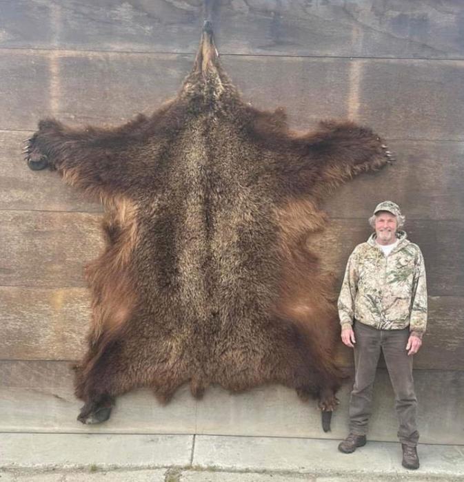 The bear’s skull measured 27 inches, and the hide nine feet. The skull will go over Chris’s fireplace, and the hide will make a nice rug.