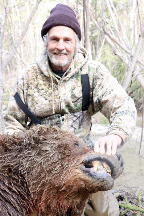 Judging by the bear’s teeth, he is estimated to be about 20-25 years old. One tooth was sent away for analysis, but results won’t be available for about a year.
