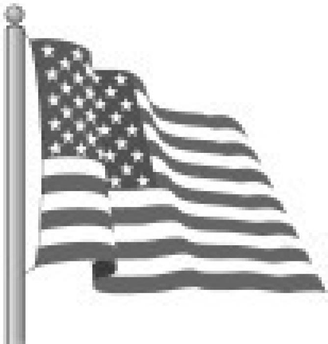 Alt Text for Image