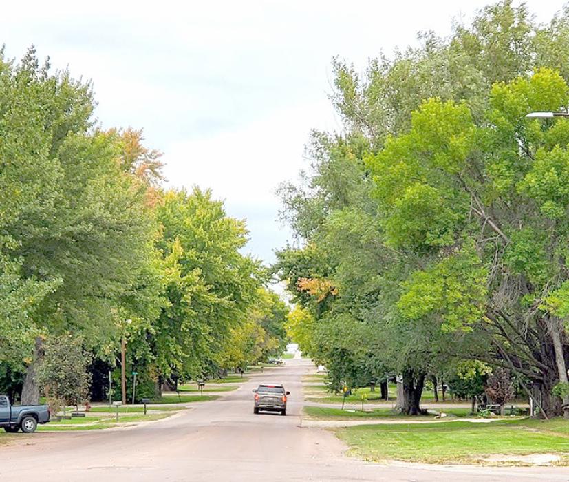 A look north on Main Street shows the trees still have most of their green leaves - remarkable for this time of year.