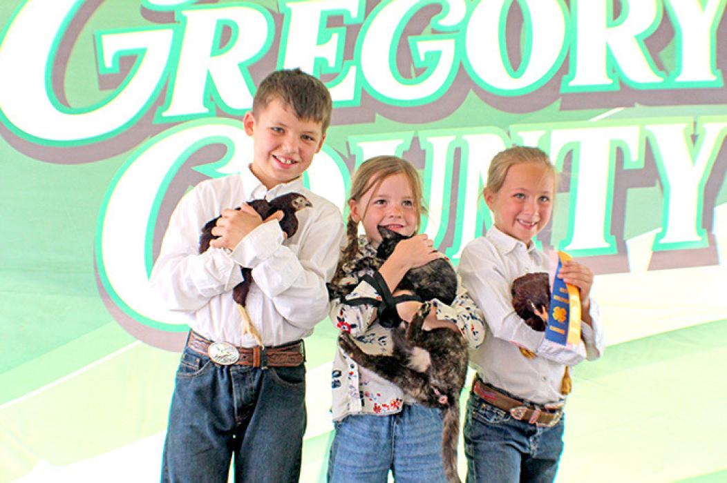 Summer of 2026 Gregory County 4-H Achievement Days