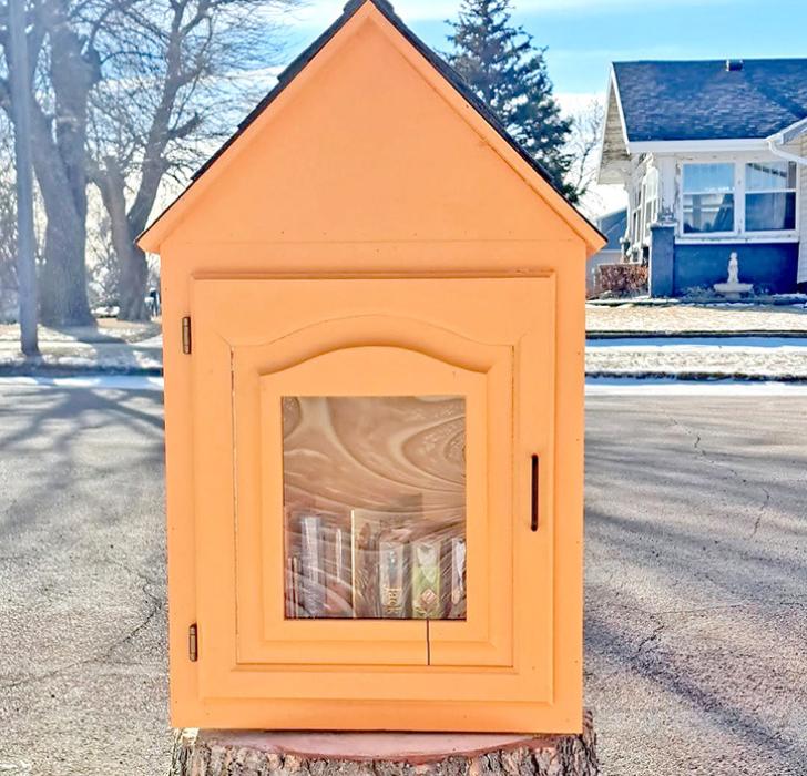 The Gregory Public Library’s Magic Tree House Little Free Library is now up and running. Located in front of the main library, it makes books available 24/7. (Photo from library’s Facebook page)