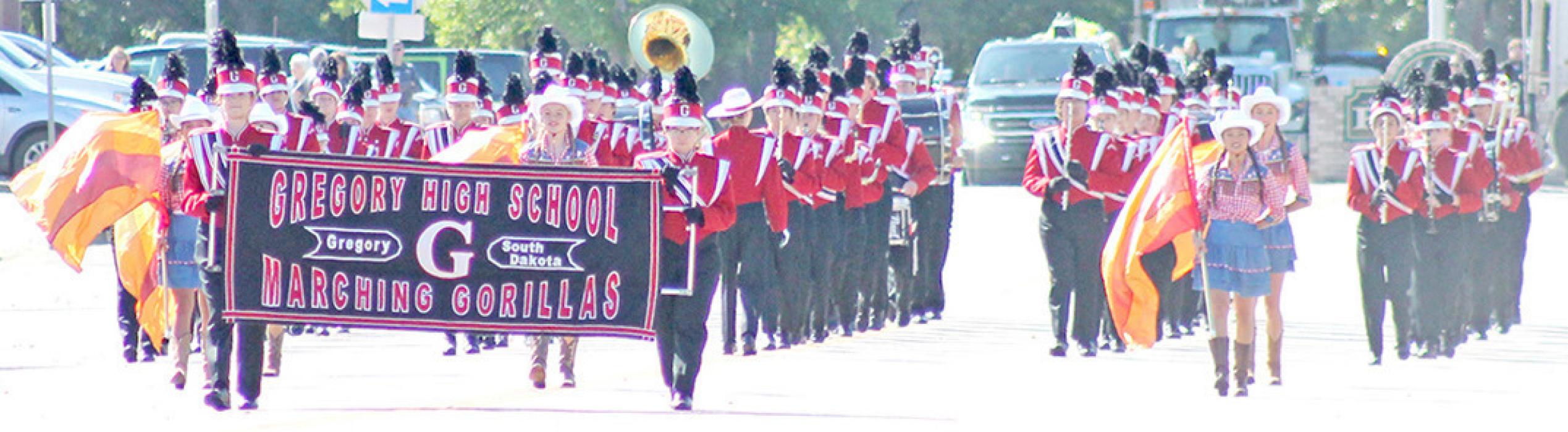 Marching Gorillas are enjoying success