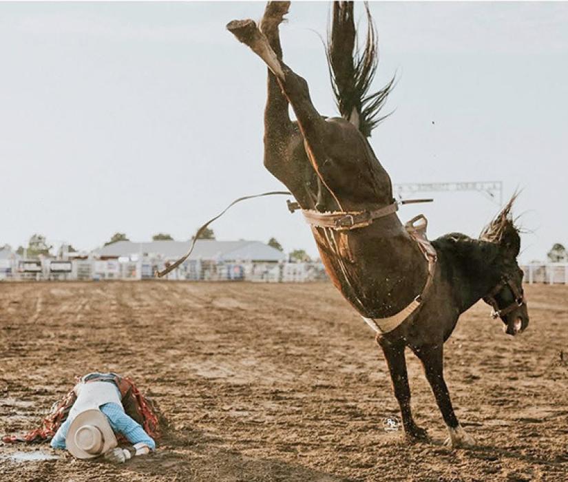 Bugsy unloads a cowboy at the 2025 Burke Stampede.