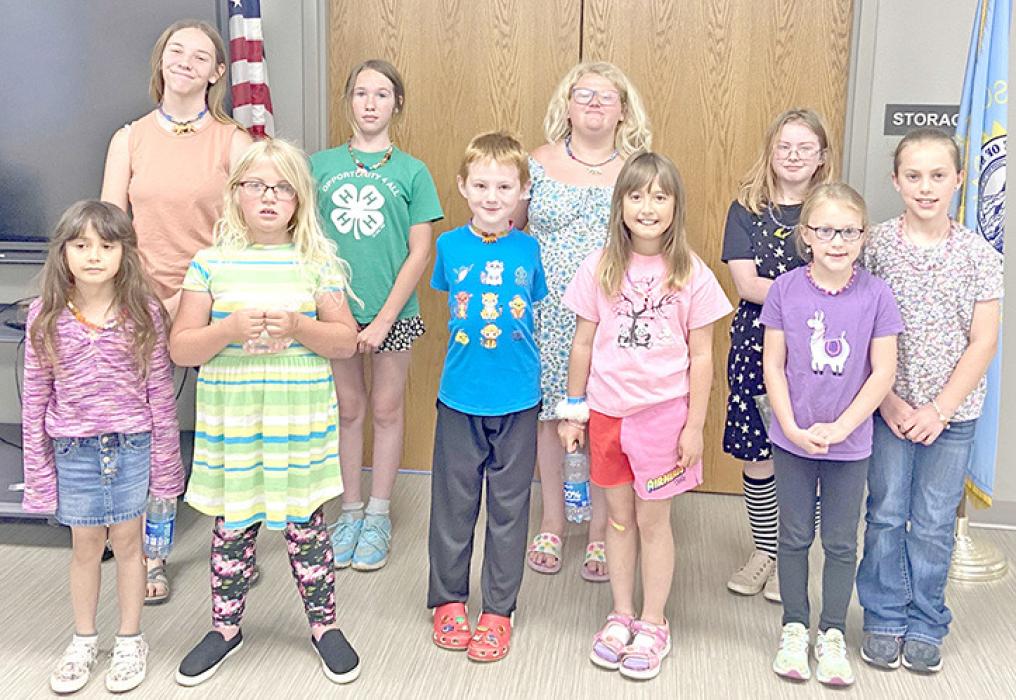Gregory County 4-H holds more summer workshops
