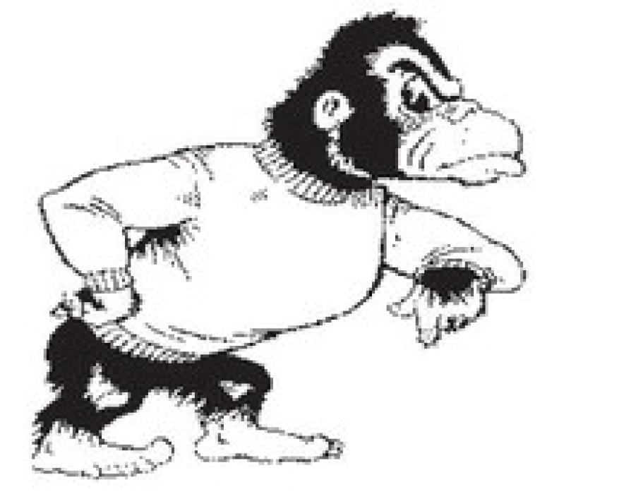 Lady Gorillas