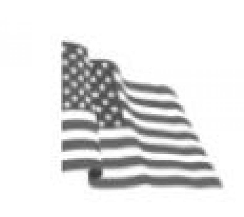 Alt Text for Image