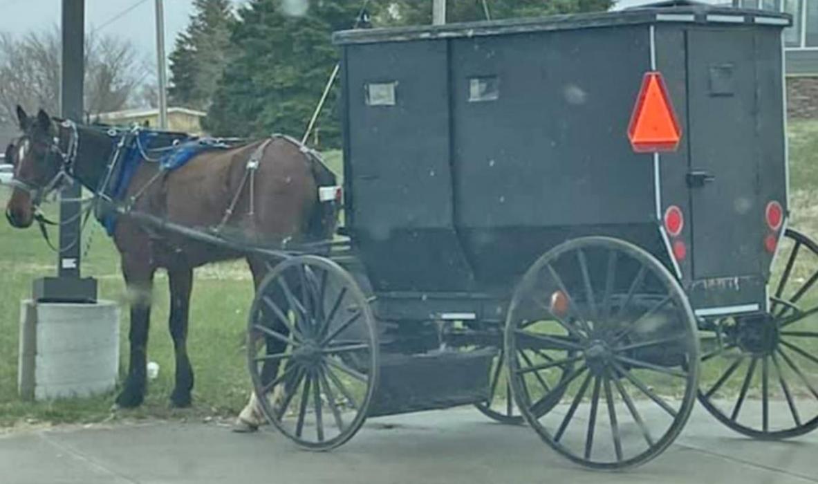 An Amish family, the Burkeholders, moved to the area this spring. They expect several other families to join them.