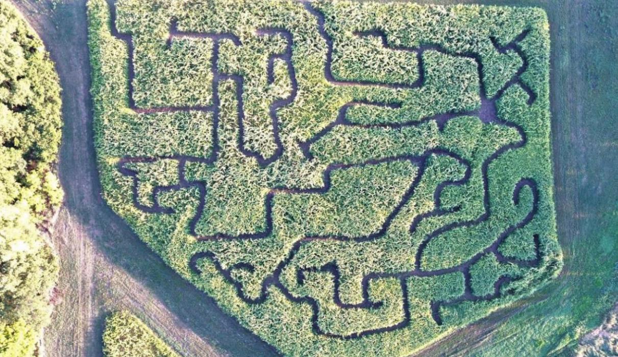 Swift Family Pumpkin Patch has an a-maze-ing new feature