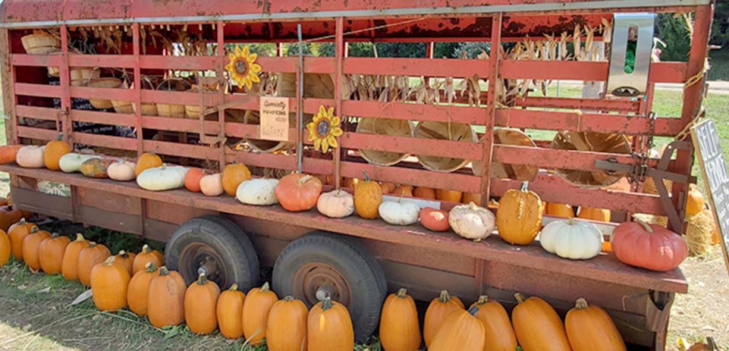 Swift Family Pumpkin Patch has an a-maze-ing new feature