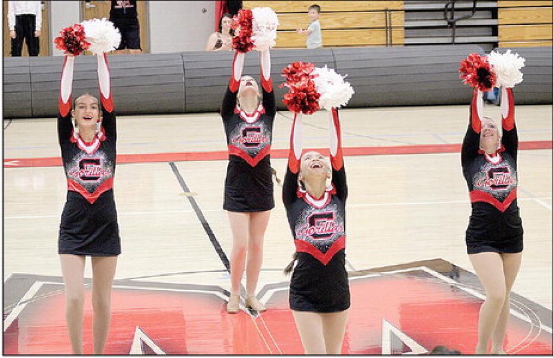 The cheer and dance team had a chance to watch some of the largest schools in the state at the competition in Harrisburg on Saturday.