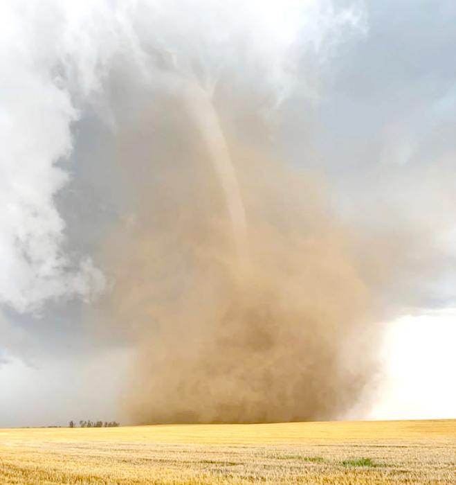 Lee Qualm was combining oats southeast of the North Star when he took this photo. The tornado picked up his semi and planted it out in the field. No one was in the vehicle at the time.