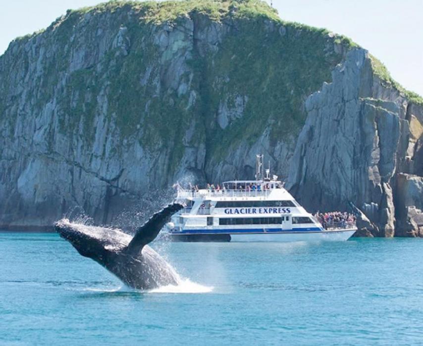 The Andersons and Selles saw whales, a pod of orcas, and a glacier calving while on a dinner cruise during their time on the Kenai Peninsula.