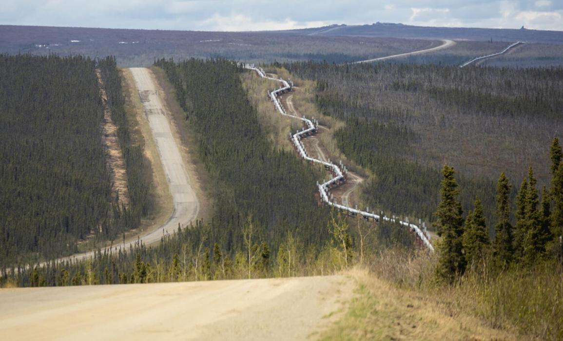 One of the most fascinating features of this landscape along Dalton Road is the Trans-Alaska Pipeline. This structure was designed to rapidly transport crude oil from the North Slope near Prudhoe Bay nearly 800 miles down to Valdez. Oftentimes you can see the Pipeline zig-zag – this was constructed so that, in the case of an earthquake, it is more stable and flexible. This design also slows the flow of oil when moving downhill.