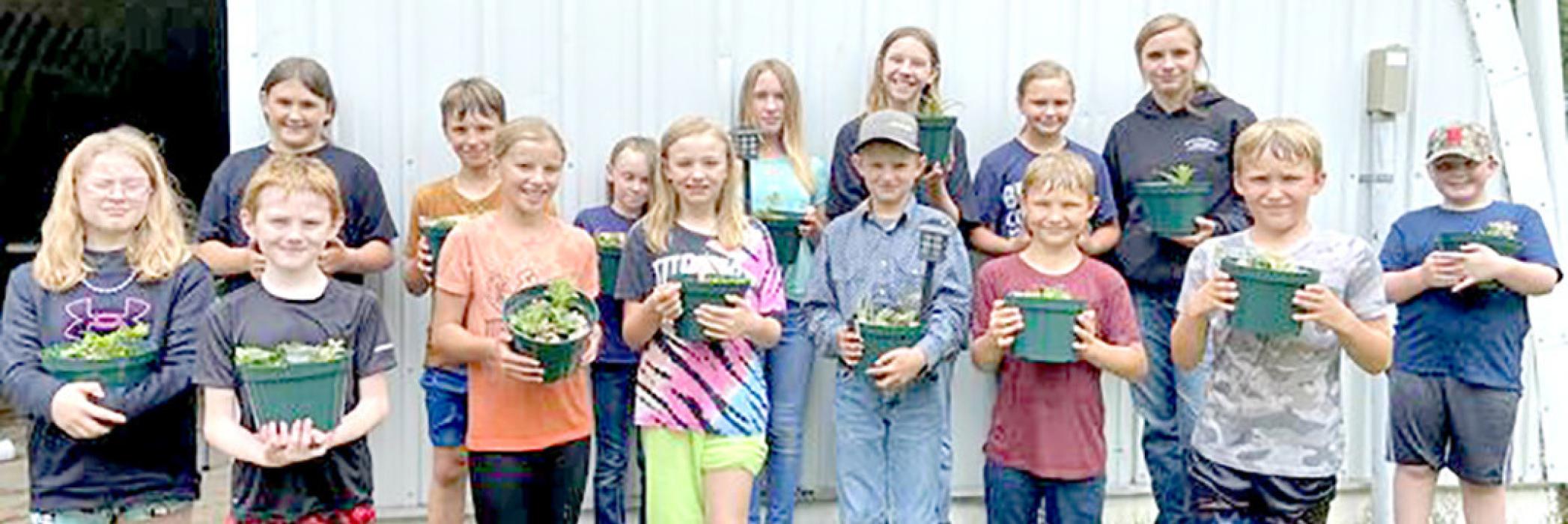 Many 4-H summer workshops activities held