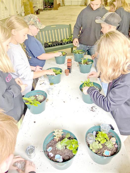 Many 4-H summer workshops activities held