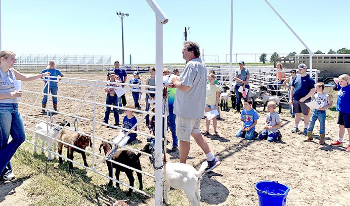 Many 4-H summer workshops activities held