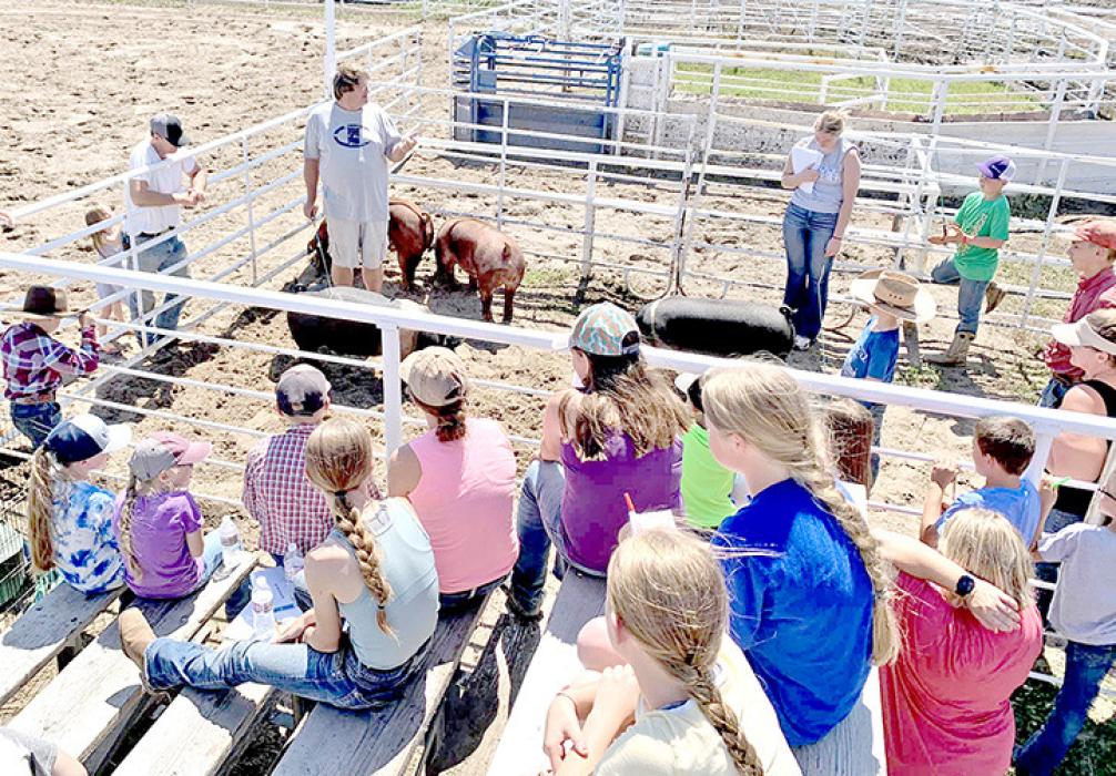 Many 4-H summer workshops activities held