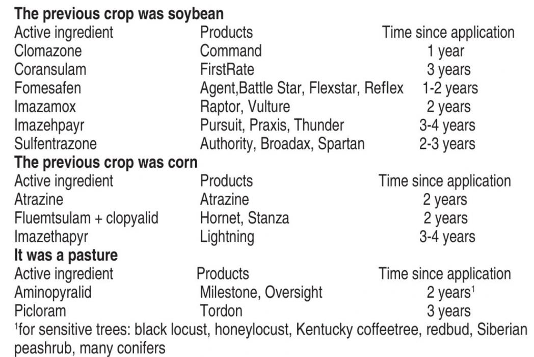 Herbicide carryover: caution when planting new windbreaks