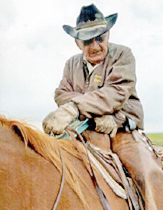 Ardis Kriege