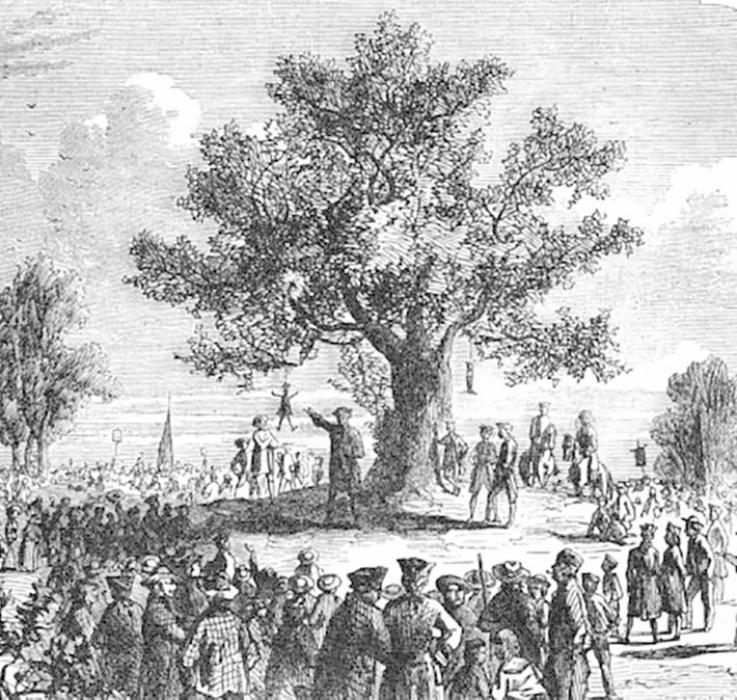The Liberty Tree became such a popular symbol of liberty in the Boston Colony that many other Liberty Trees sprang up in other cities. (Photo in the public domain.)