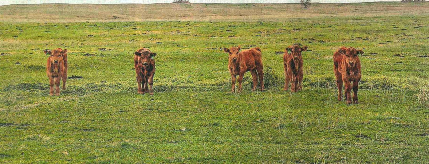 Thirty percent of land and water in the U.S. is proposed to be under premanent protection by 2030, under an Executive Order that President Biden passed on his first day in office. (Photo by Tristen Polensky)