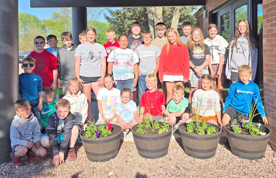Both sections of first grade planted flowers with the 7th grade. The planters will beautify main street as well as the school. Teacher Kristen Jacobsen helped choose the plants, and teacher and FFA advisor Mollie Andrews grew them.