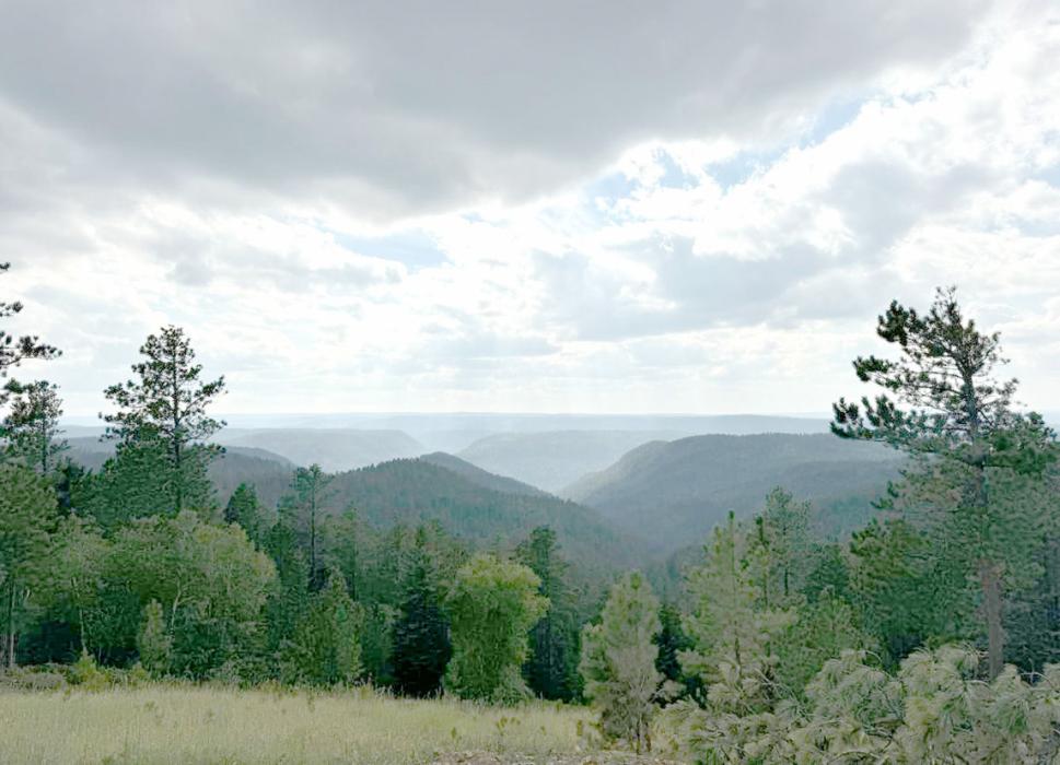View from Lot 107 at Deer Mountain Village