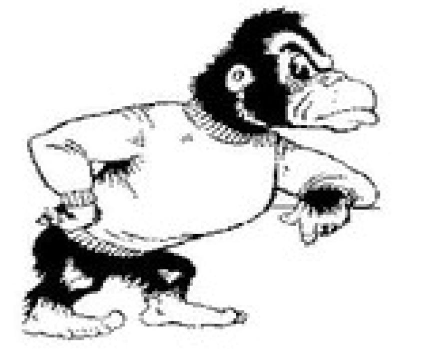 Alt Text for Image
