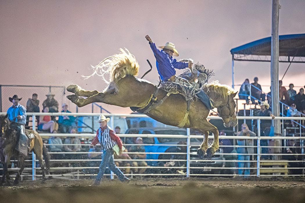 Professional bronc rider Shorty Garrett scoring 84 points on ‘All Jacked Up’ at the 2025 Burke Stampede Rodeo.